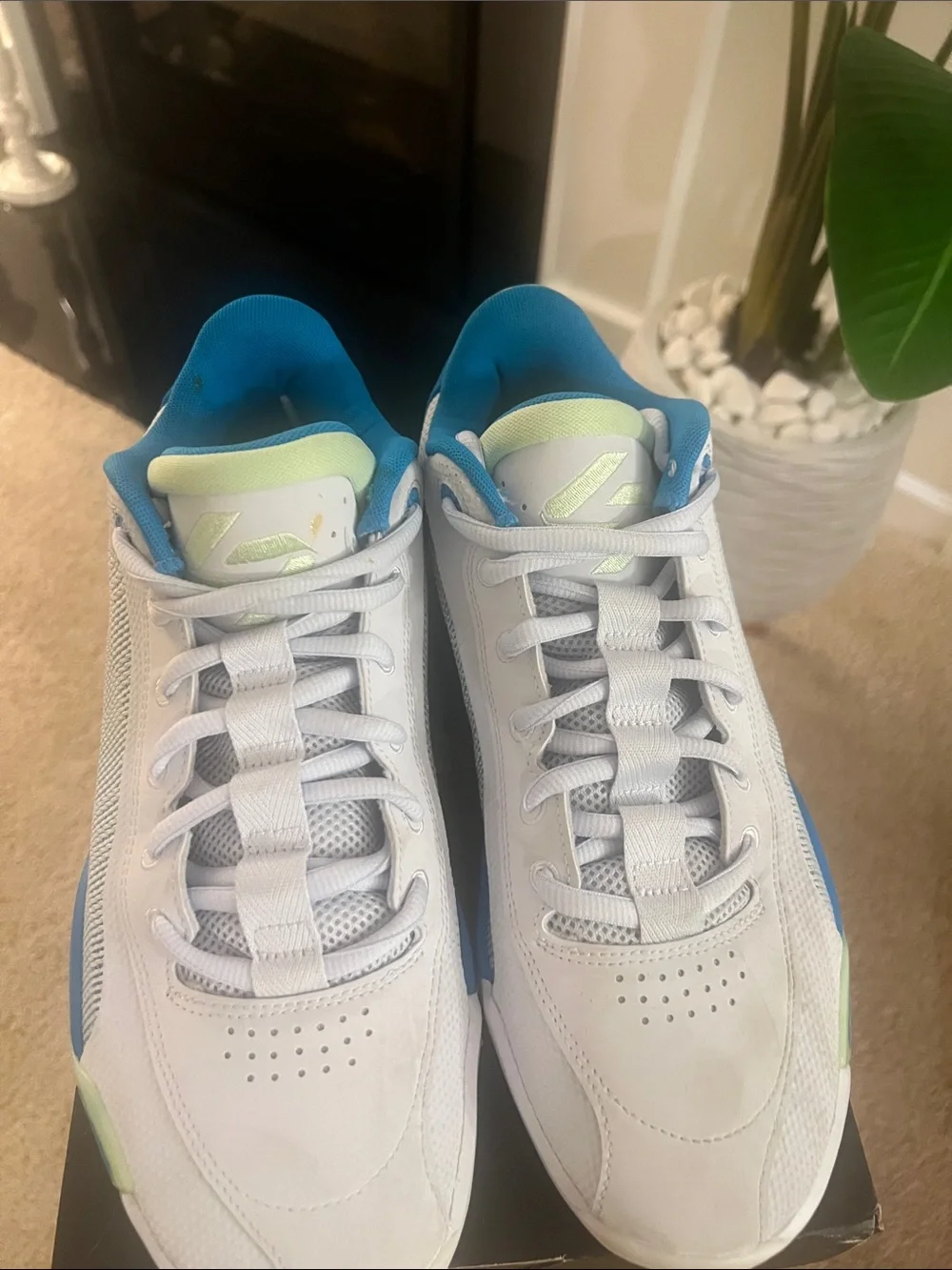 Jordan Men’s White Blue Green Low-Top Sneakers